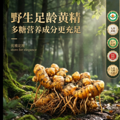 菁选灵创智能创作平台展示